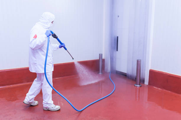 Best Pre-Holiday Cleaning  in Wellman, IA
