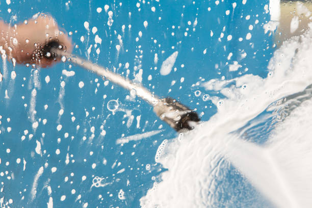 Best Animal Enclosure Cleaning  in Wellman, IA