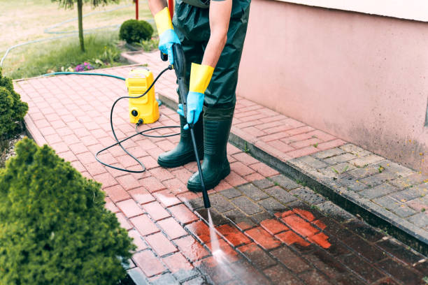 Best Graffiti Removal  in Wellman, IA
