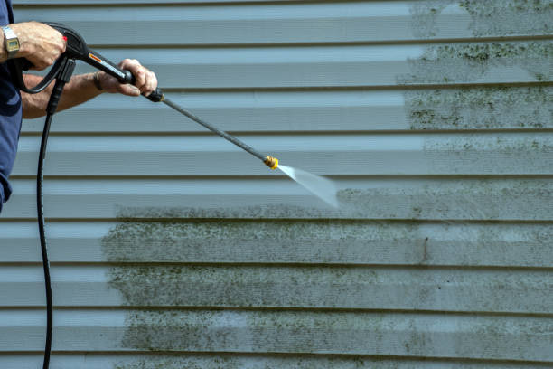 Best Sidewalk and Walkway Cleaning  in Wellman, IA