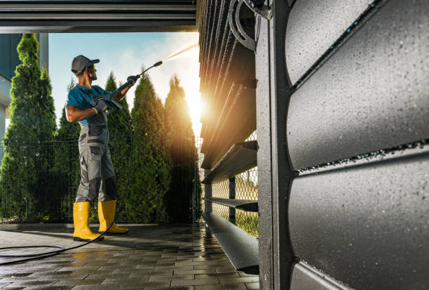Best Soft Washing  in Wellman, IA
