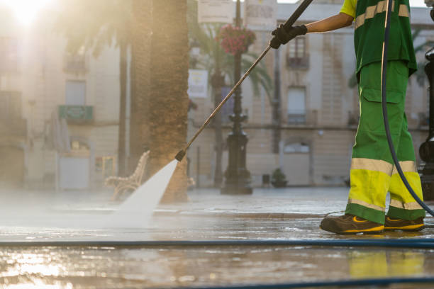 Best Solar Panel Cleaning  in Wellman, IA